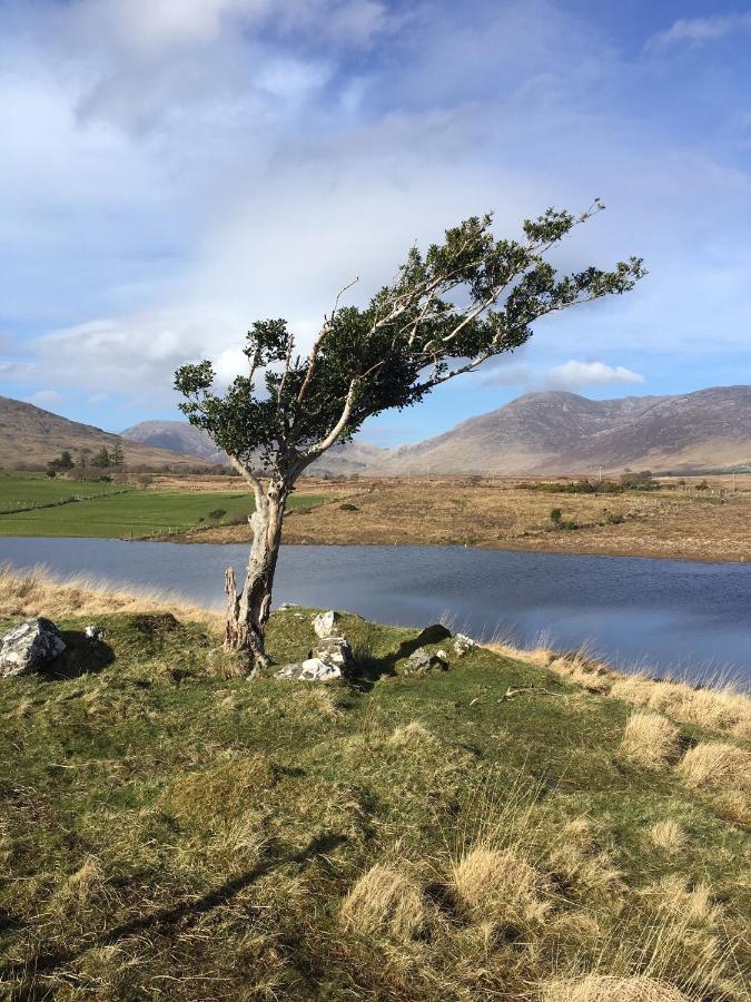 Railway View - Connemara Bed & Breakfast Recess Eksteriør bilde